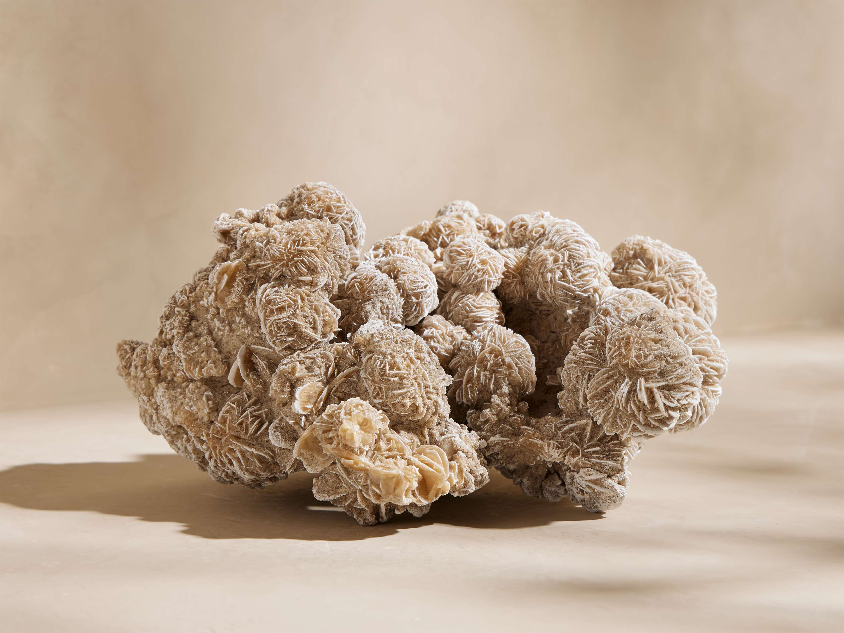 Desert Rose Mineral
