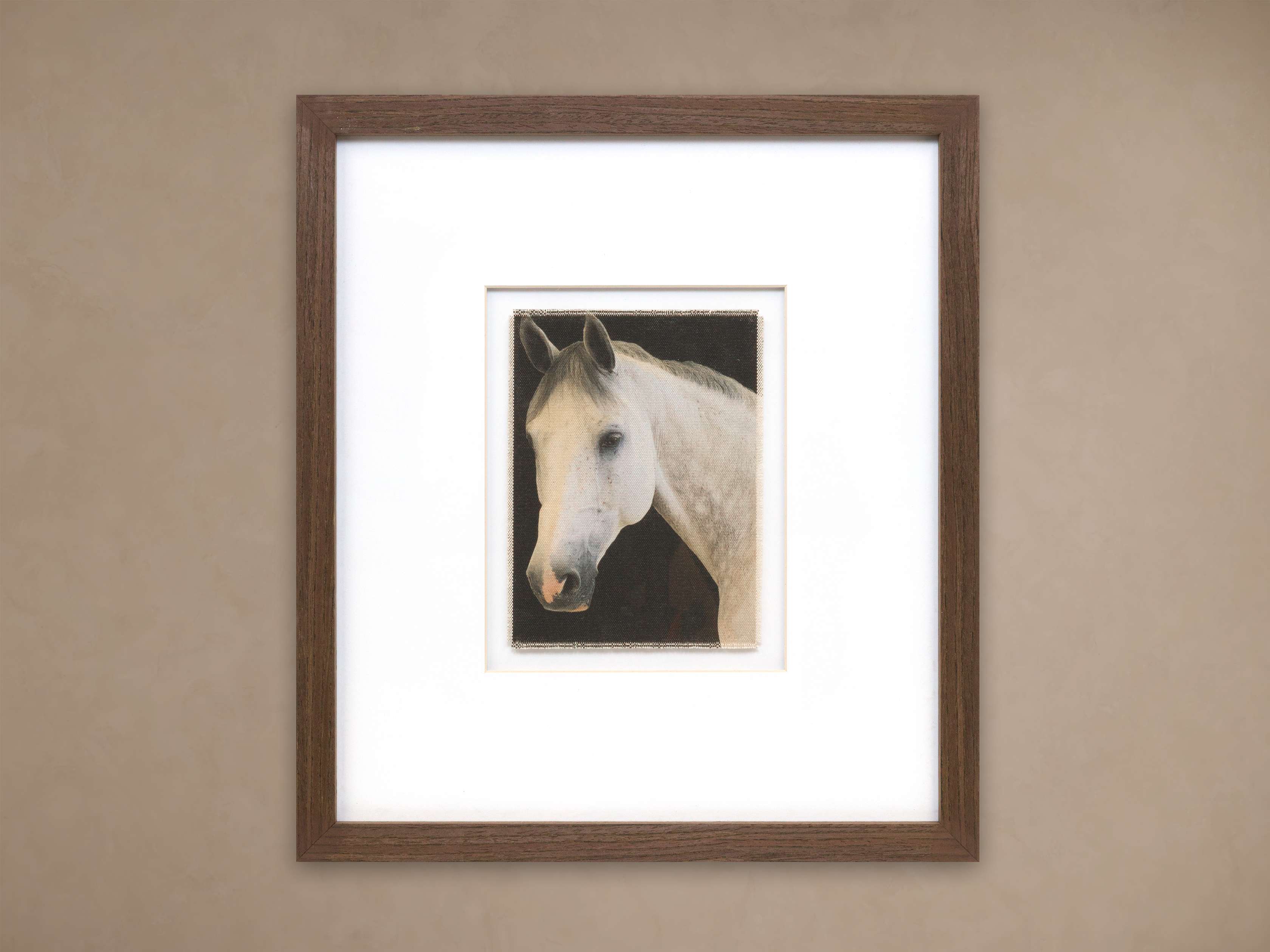 Equestrian Framed Print